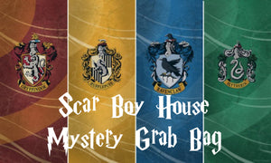 Choose your HP house Mystery Grab Bag