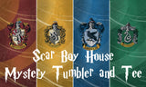 Scar Boy house tumbler mystery grab bag